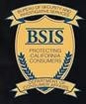 bsis logo bsis logo